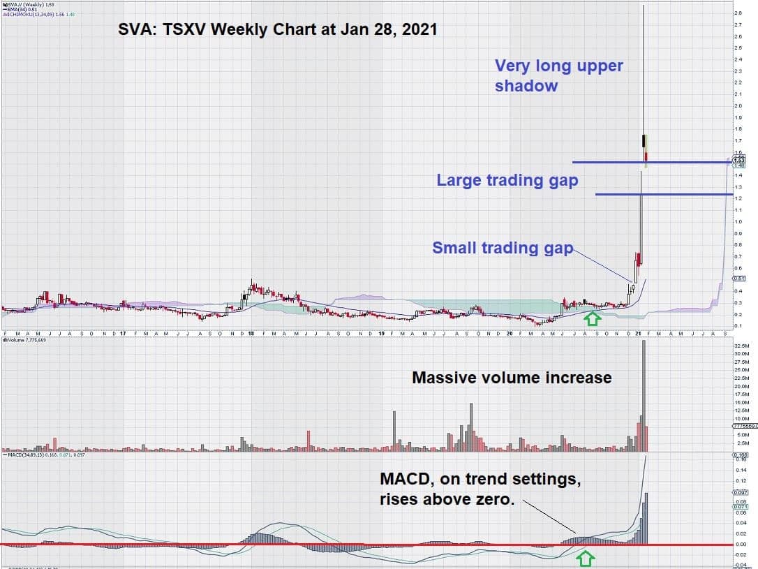 Sernova 股票圖表 2021 年 1 月 Ichimoku Clouds 更新