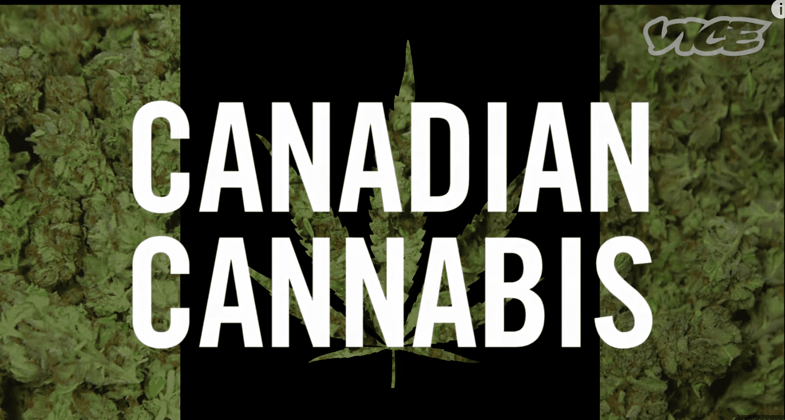 La Coltura Redditizia: Cannabis Canadese