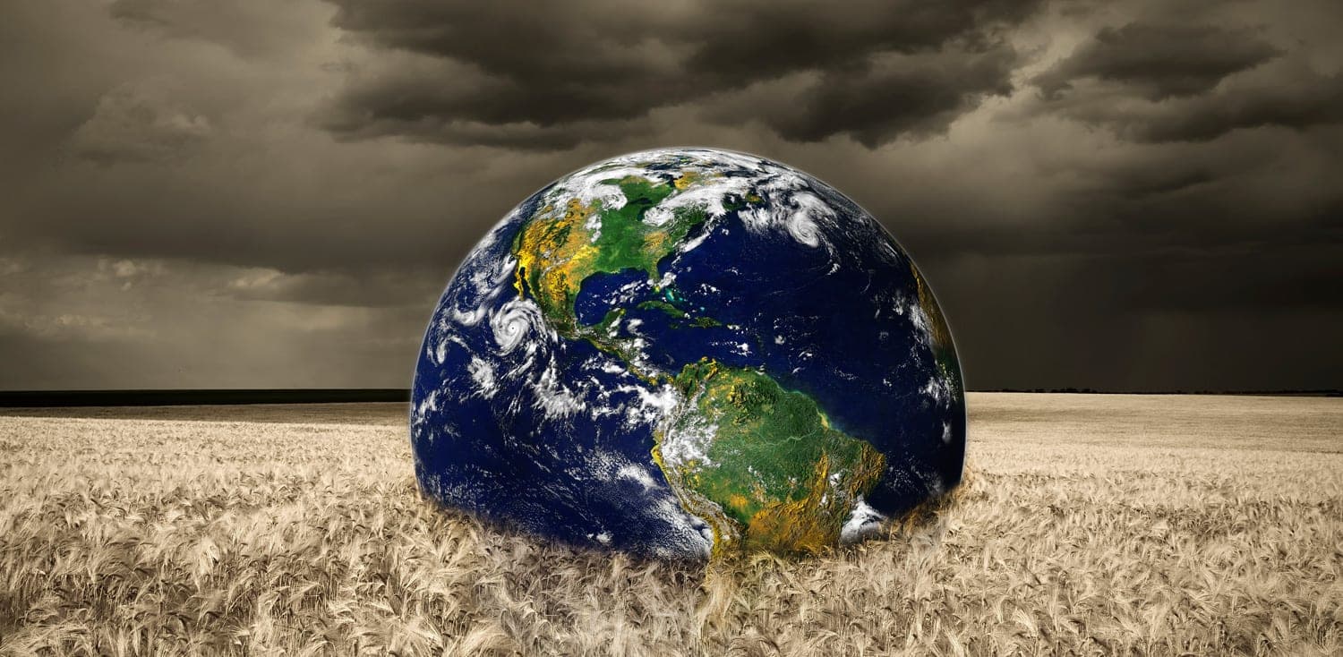 Comment profiter de la nouvelle loi agricole américaine