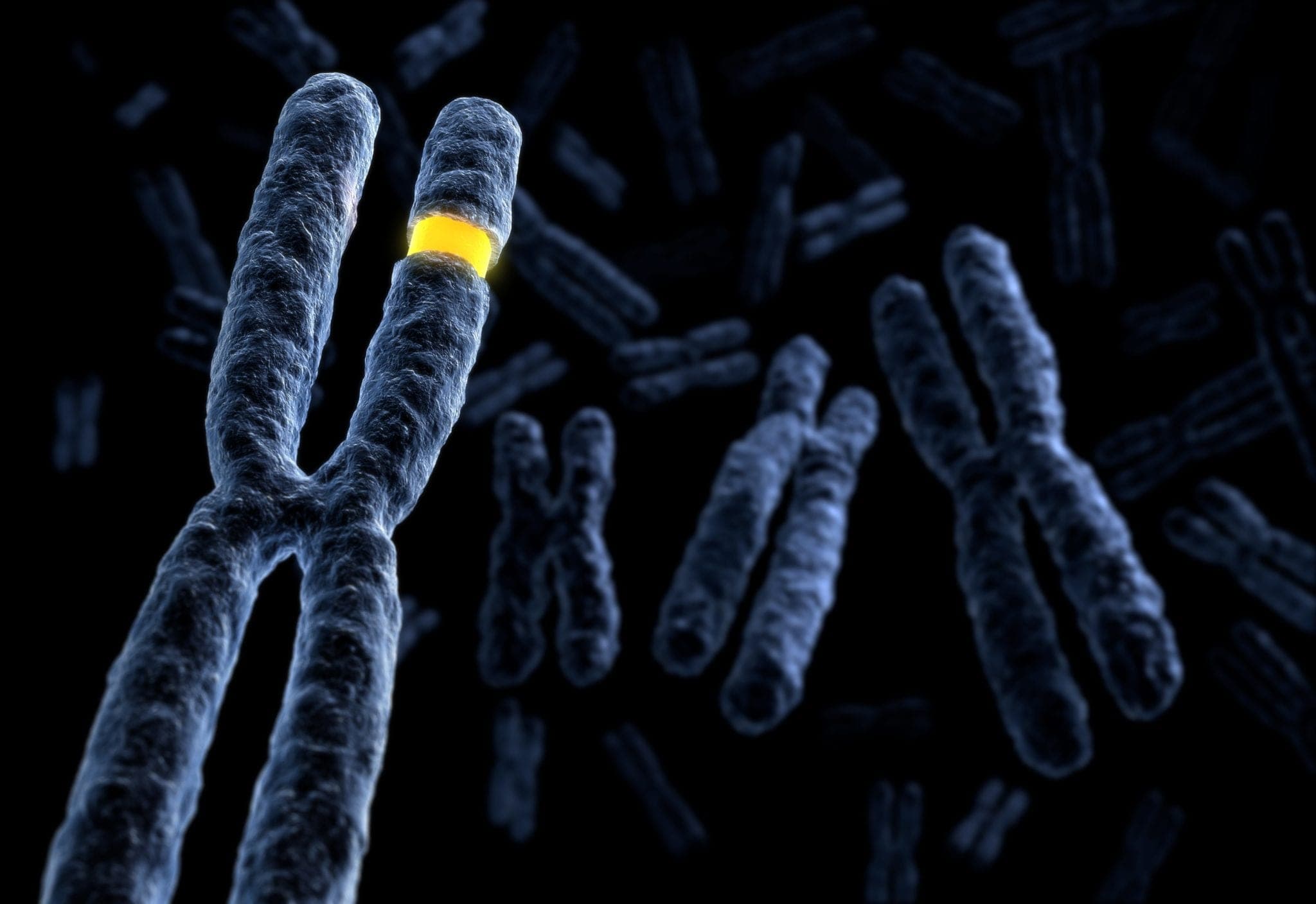 3D Signatures: Uma Classe Inteiramente Nova de Biomarcadores