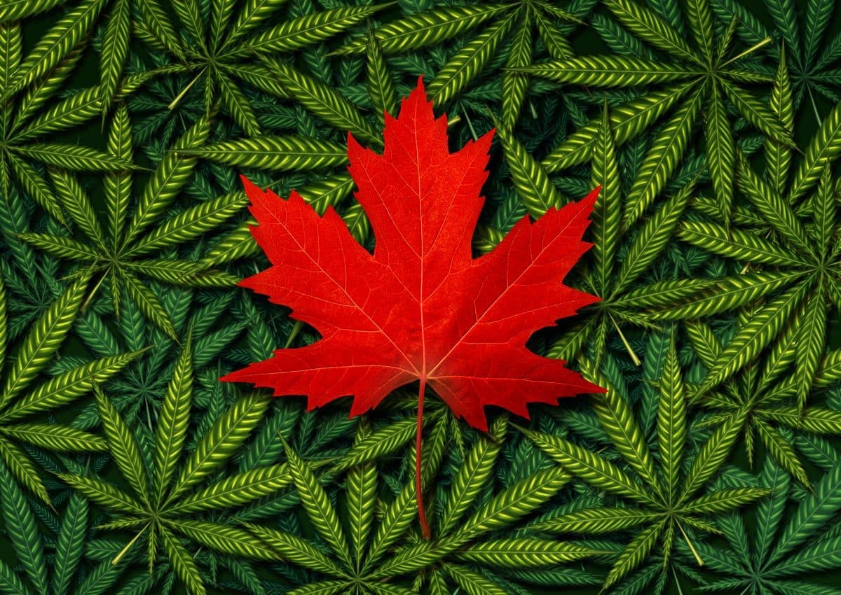 Health Canada Agiliza la Concesión de Licencias e Inspecciones para Productores de Marihuana