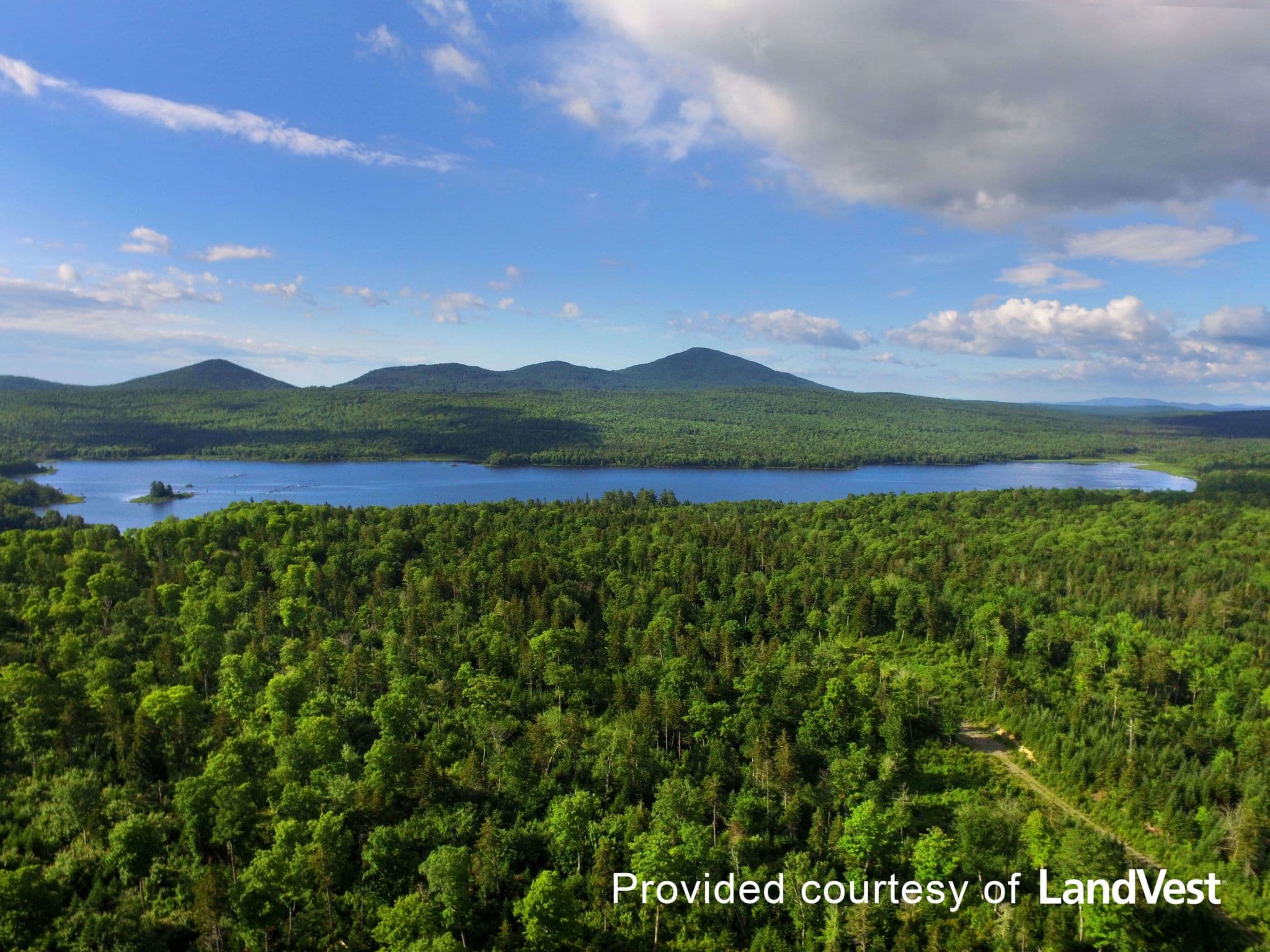 Uma Análise do Gráfico de Ações da Wolfden Resources