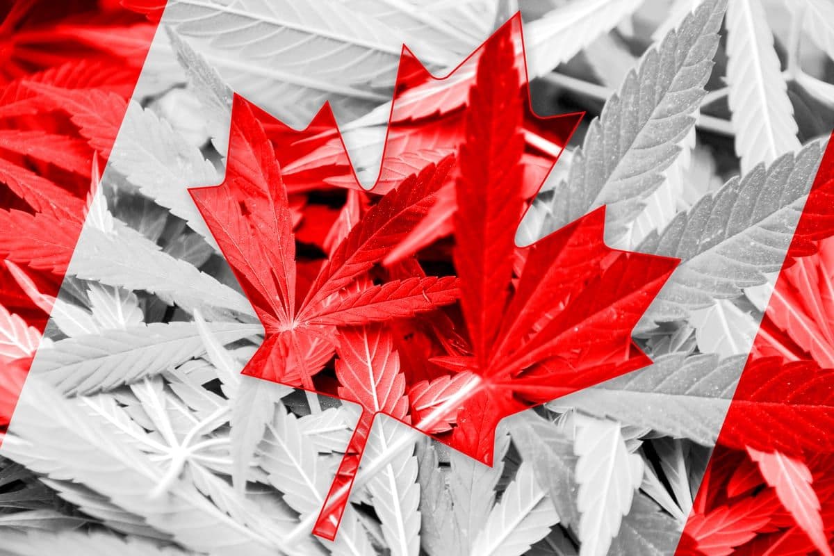 自由党提出法案,使加拿大成为G7中首个将大麻合法化的成员国