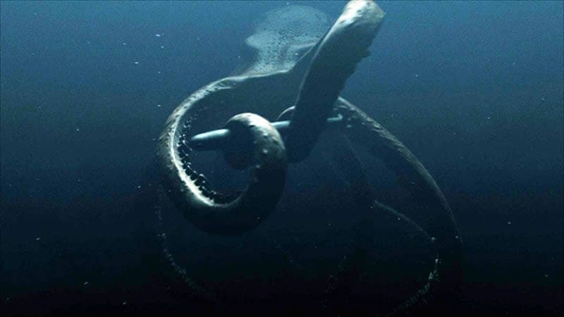 Ein absolutes Monster: MAG Silvers CRD-Entdeckung