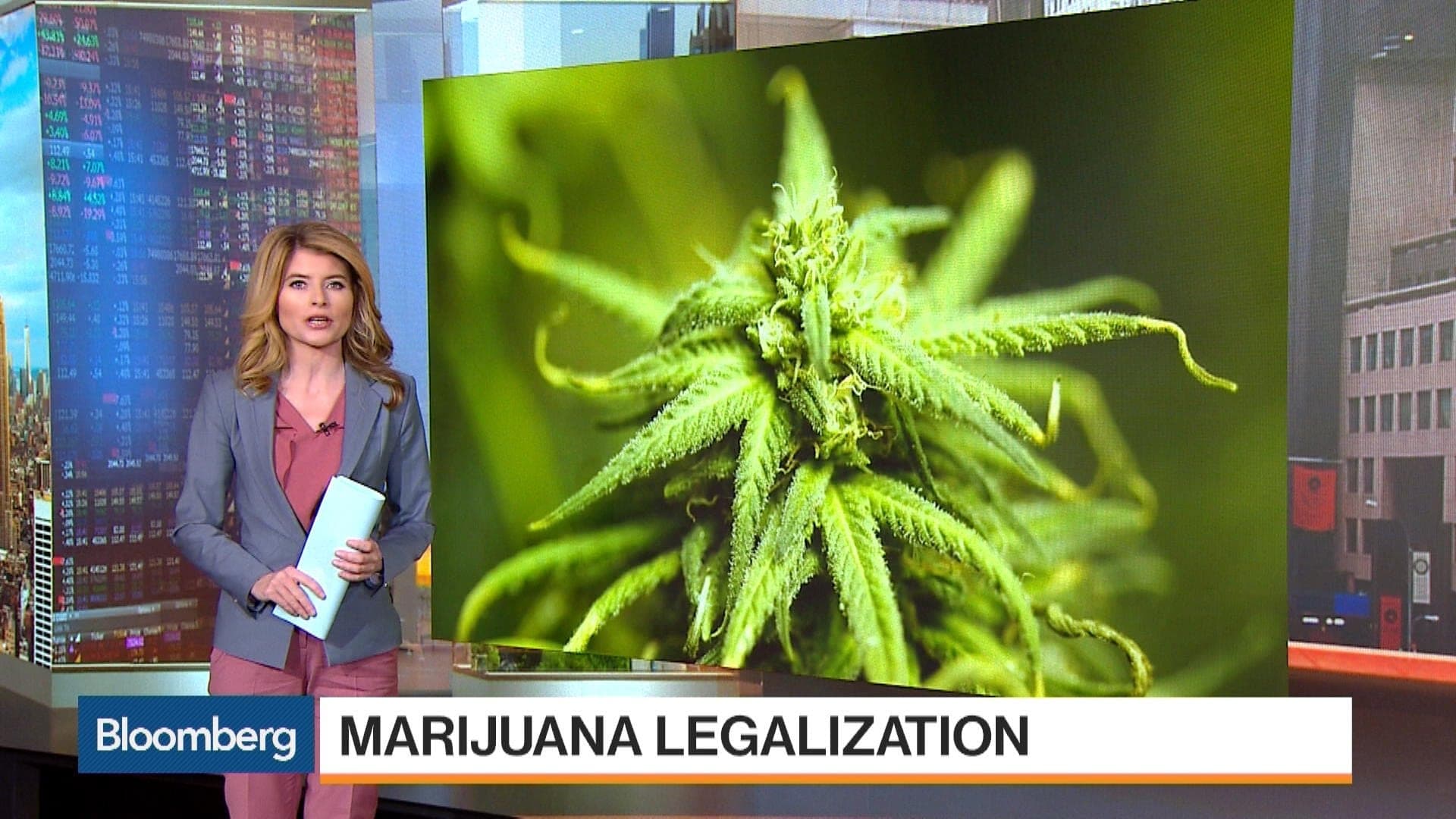 QuickTake: 大麻在美國合法化的道路
