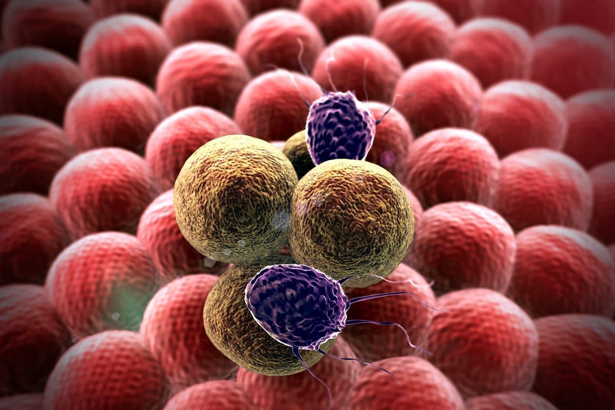 50/50: Uno studio pilota perfetto da 3D Signatures sul cancro alla prostata basato sul sangue