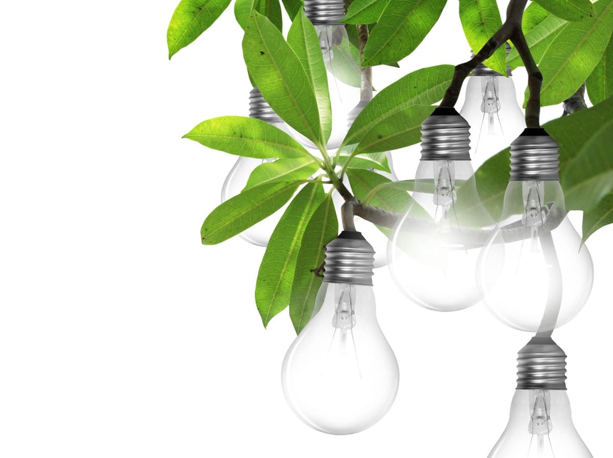 Grenzenlose Energie? Der nächste heiße Energiemarkt