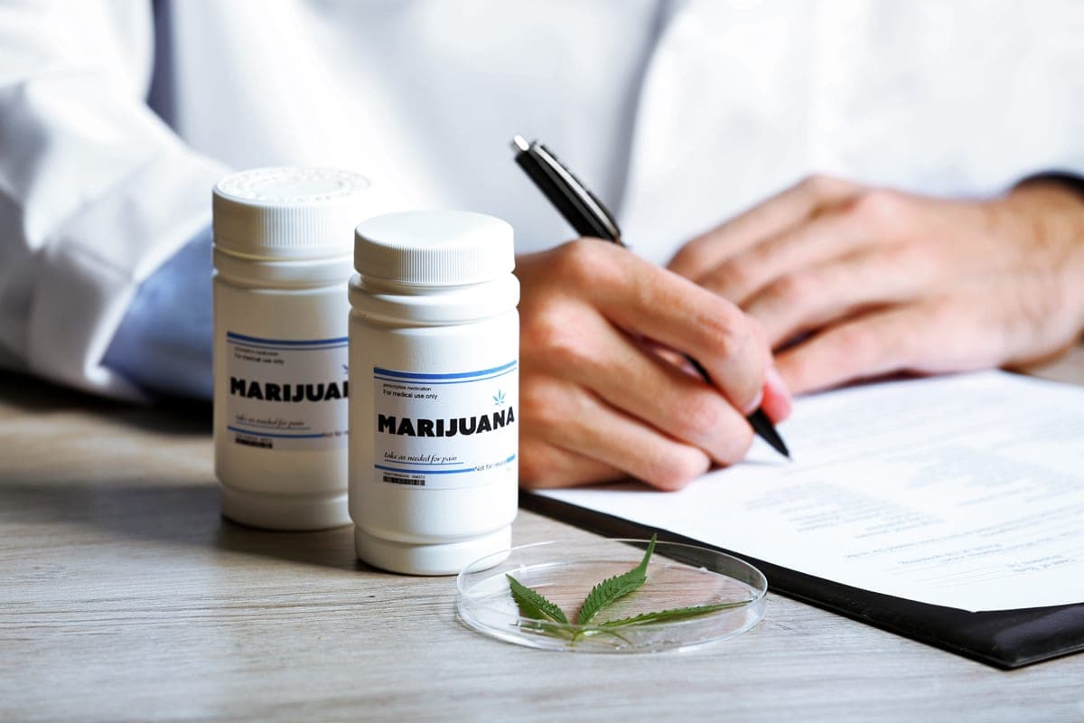 Por qué el Gobierno Canadiense Debería Apoyar la Investigación sobre la Marihuana Medicinal