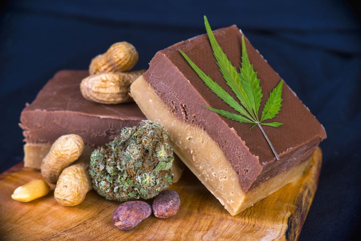 The Green Organic Dutchman Adiciona 40.000 kg de Produção de Maconha para Fabricação de Produtos de Bebidas e Comestíveis