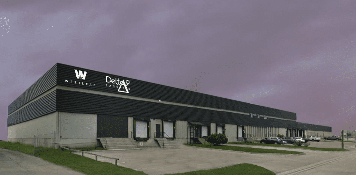 Westleaf Compra la Participación de Delta 9 en una Instalación de Extracción de Cannabis de 60,000 Pies Cuadrados: Obtiene Control Total