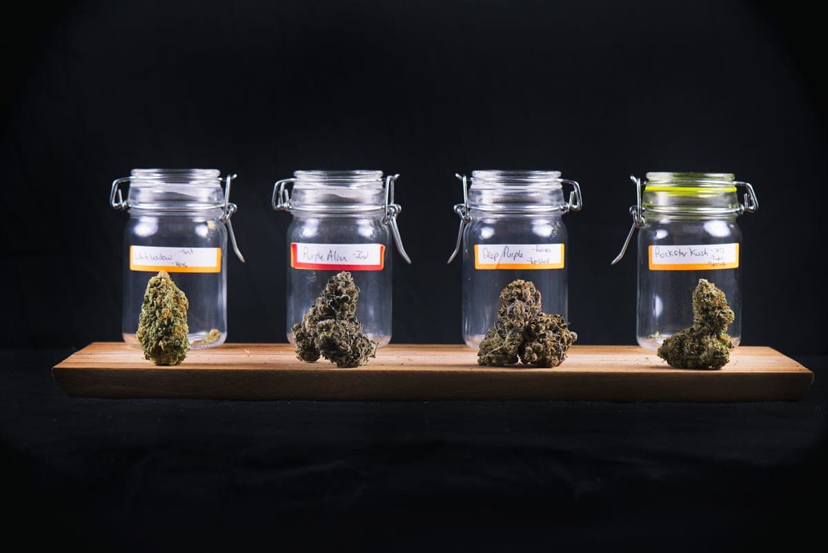 ¿Qué acaba de pasar con mis acciones de cannabis?