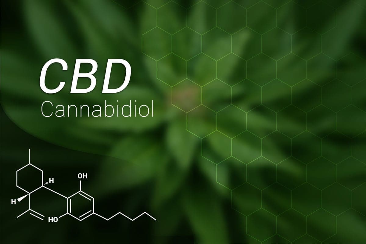 A88 Infused Beverage Division Renforce son Portefeuille de Boissons Infusées et au CBD